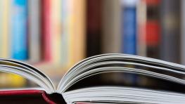 Lecture for Teachers on the Possibilities of Using the TaxEdu Platform in Teaching